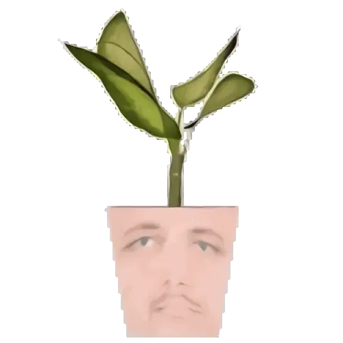 Potted plant animation